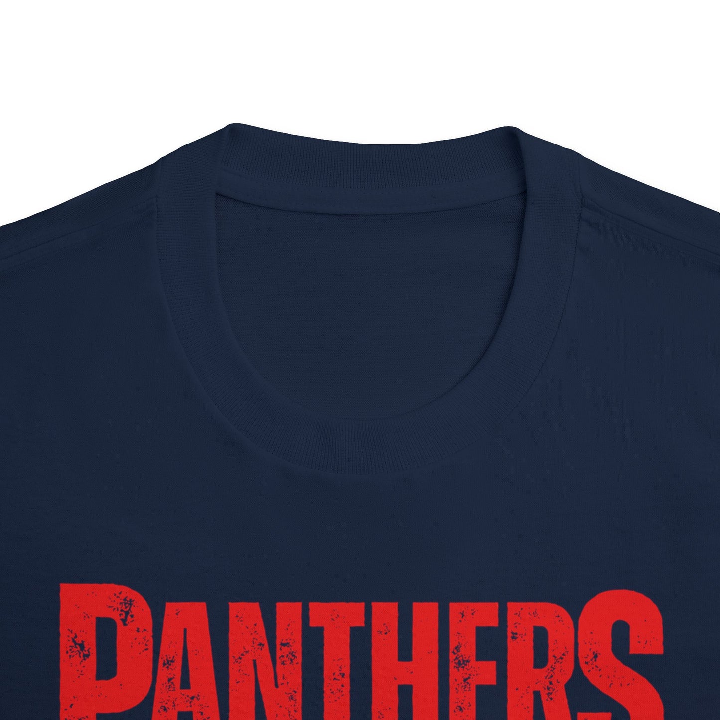 ! Panthers Pride Unisex Classic Tee | Vintage Sports Shirt, Team Apparel, Game Day Outfit, Gift for Fans, Casual Wear